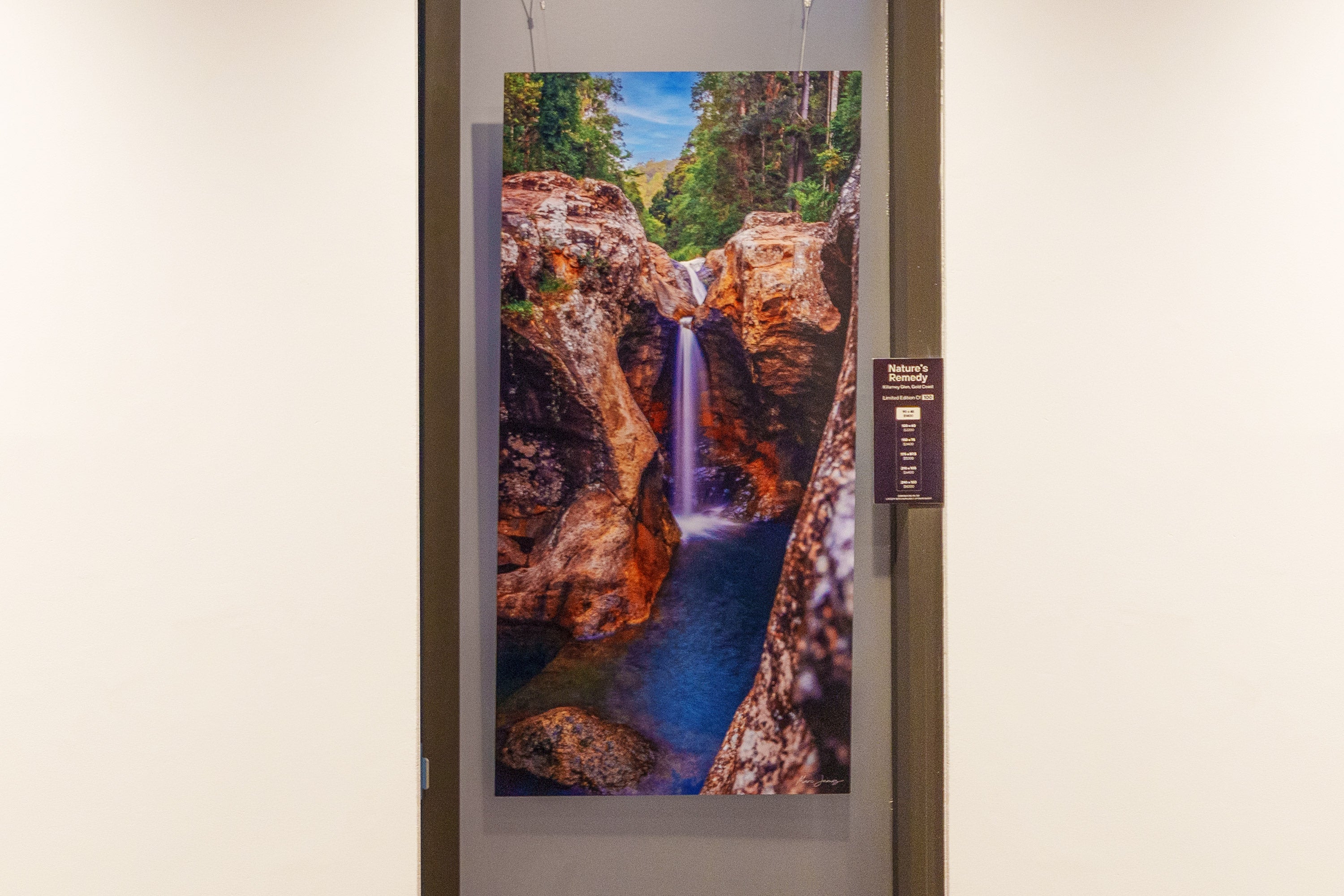 Nature's Remedy | Artist Proof #03